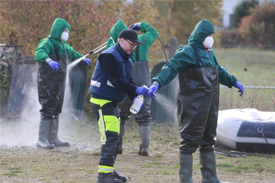 Behörden kämpfen gegen weitere Ausbreitung der Geflügelpest Die Thüringer Behörden haben Maßnahmen gegen eine weitere Ausbreitung der Vogelgrippe ergriffen. (Archivbild)Matthias Bein/dpa