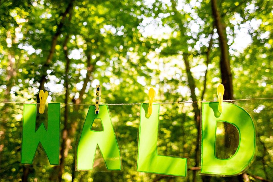 Die Thüringer Waldjugendspiele finden seit 1992 statt. (Archivbild)Christoph Soeder/dpa