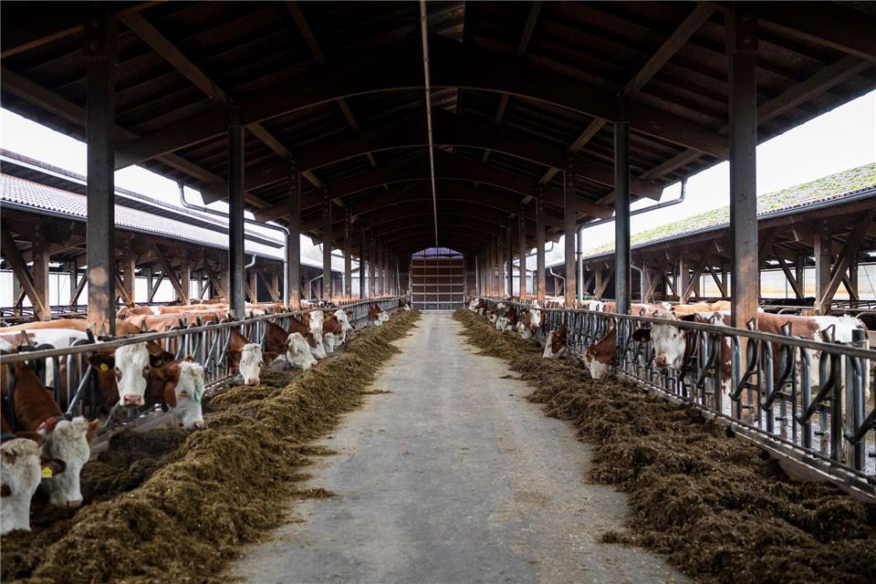 Die Tiere im Stall haben frische Luft, Regen, Sonne und Schatten. Daniel Vogl/dpa