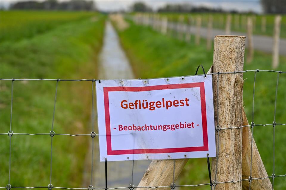 Die Tiersuche zieht immer weitere Kreise. (Archivfoto)Patrick Pleul/dpa-Zentralbild/ZB