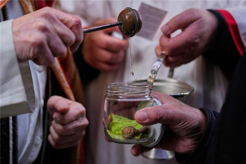 Die Tradition der katholischen Tiersegnung geht auf das Mittelalter zurück. Früher ließen die Bauern ihr Vieh segnen, heute sind es vor allem Städter, die ihre Lieblinge immer an einem 17. Januar, dem Fest von San Antón, dem Schutzeiligen der Tiere, zur Kirche tragen. Manu Fernandez/AP/dpa