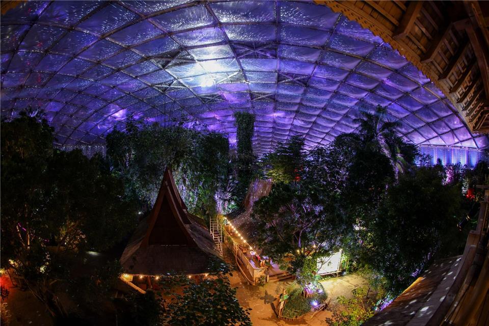 Die Tropenhalle Gondwanaland im Leipziger Zoo wird mit einem Sternenhimmel illuminiert.Jan Woitas/dpa