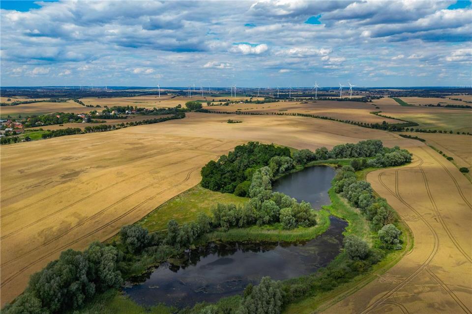 Die Uckermark im Nordosten Brandenburgs wird oft als Naturparadies beschrieben. (Archivbild)Patrick Pleul/dpa/ZB