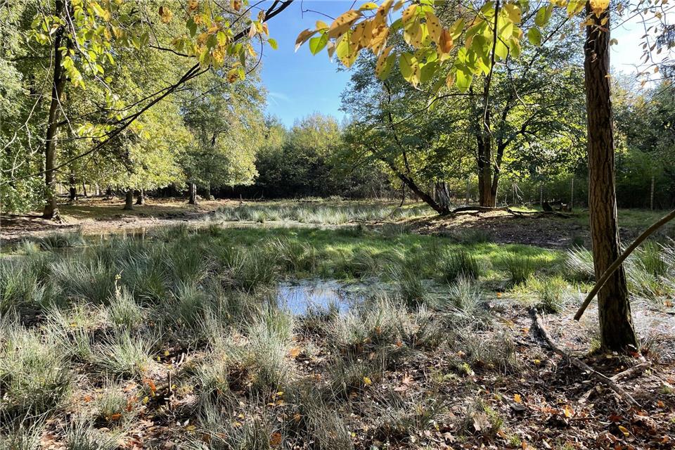 Die Üfter Mark ist wie der Tiergarten am Schloss oder die Erler Heide ein beliebtes Naherholungsbebiet.
