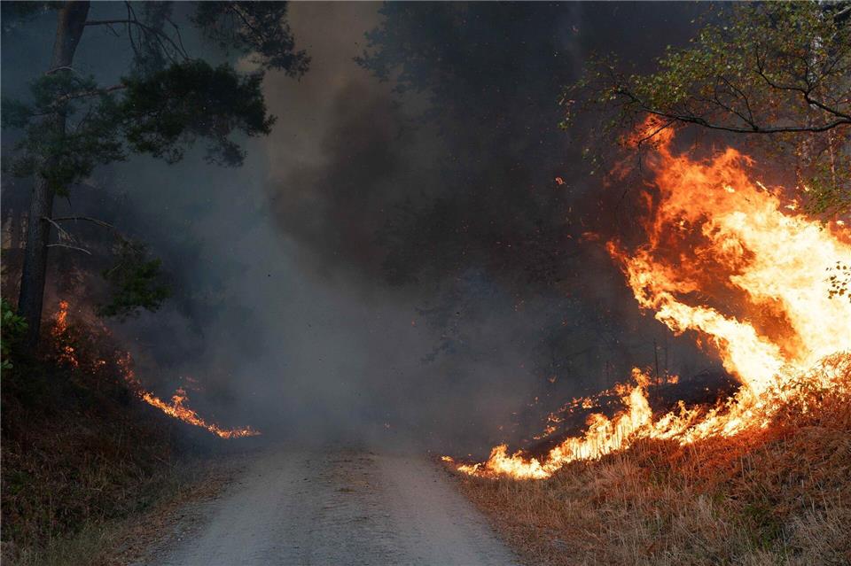 Die Ursache des Waldbrandes ist bislang nicht bekannt.Jan Ohmen/dpa