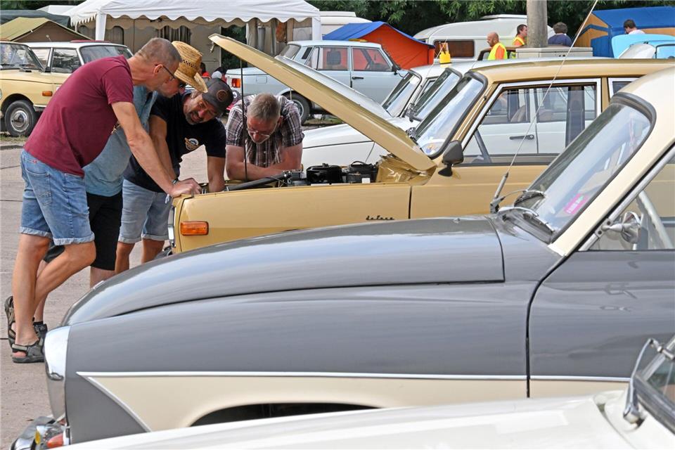 Die Veranstalter rechnen mit mindestens 450 der in der DDR gebauten Autos.Martin Schutt/dpa
