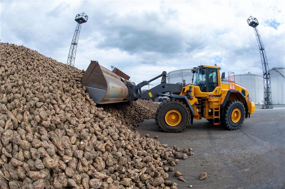 Die Verarbeitung von Zuckerrüben ist beendet. (Archivbild)Stefan Sauer/dpa