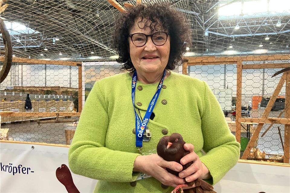 Die Vogelgrippe bremst die Lipsia-Bundesschau in Leipzig aus. In diesem Jahr sind ausschließlich Tauben zu sehenAndré Jahnke/-/dpa