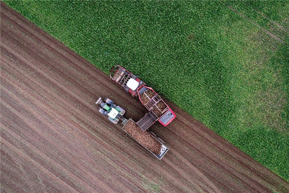 Die Vorschriften fürs Düngen beschäftigen die Bauern. Bauernpräsident Karsten Trunk beklagt Rechtsunsicherheit.(Archivbild)Jens Büttner/dpa
