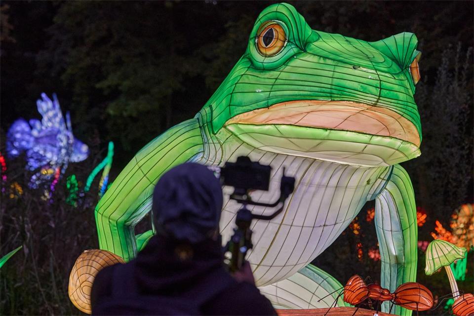 Die WILD LIGHTS dauern sieben Wochen.Jens Büttner/dpa