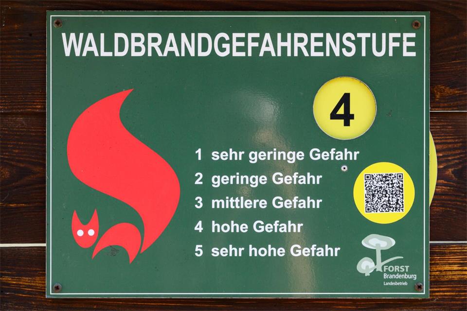 Die Waldbrandgefahr bleibt in Brandenburg vielfach mittel bis hoch. (Archivbild)Patrick Pleul/dpa
