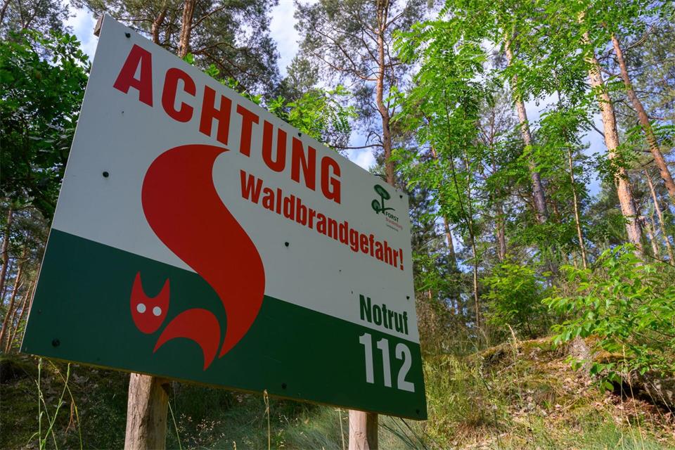 Die Waldbrandgefahr bleibt in Brandenburg vielfach mittel bis hoch. (Archivbild)Patrick Pleul/dpa