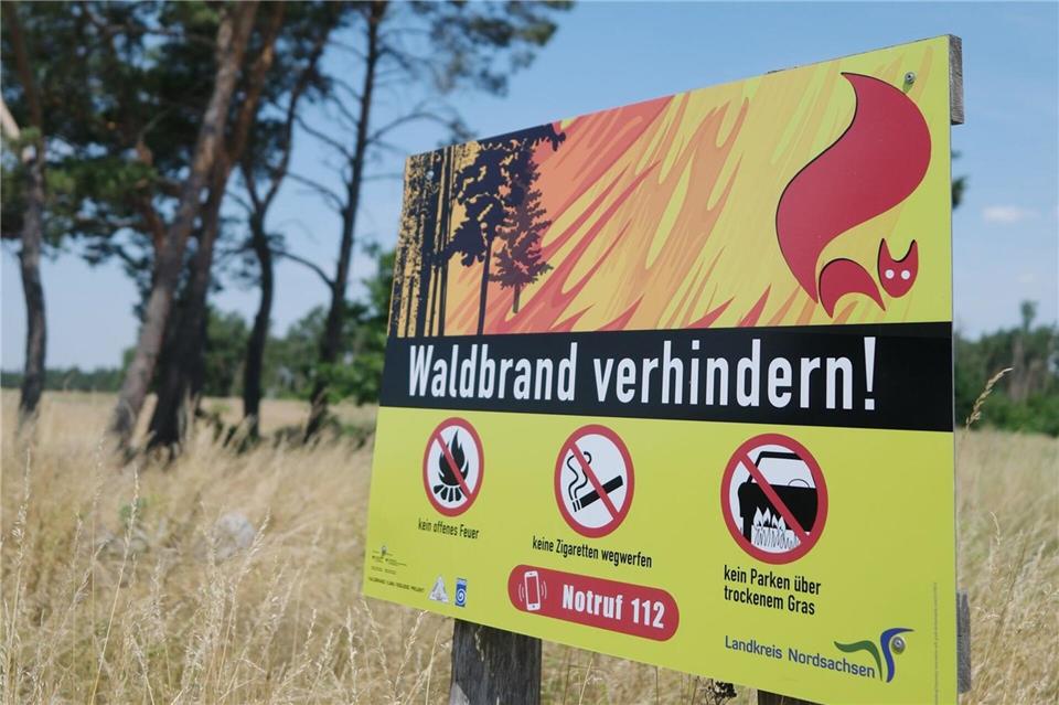 Die Waldbrandgefahr bleibt trotz angekündigter Gewitter zunächst hoch.Sebastian Willnow/dpa