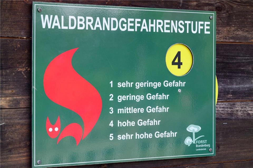 Die Waldbrandgefahr hat sich in einigen Regionen Brandenburg bereits erhöht. (Symbolbild)Patrick Pleul/dpa