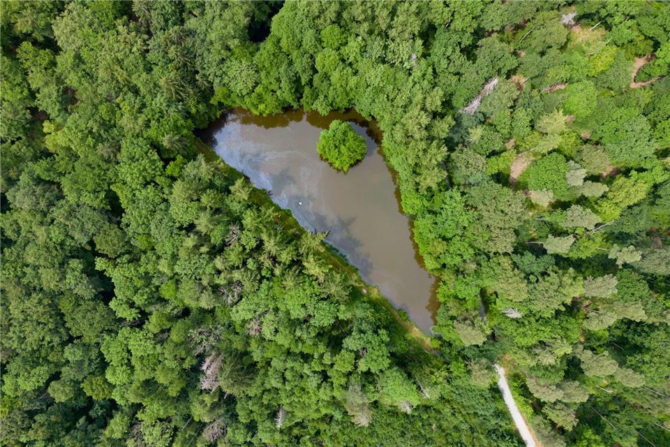 Die Waldbrandgefahr soll steigen. (Symbolbild)Boris Roessler/dpa