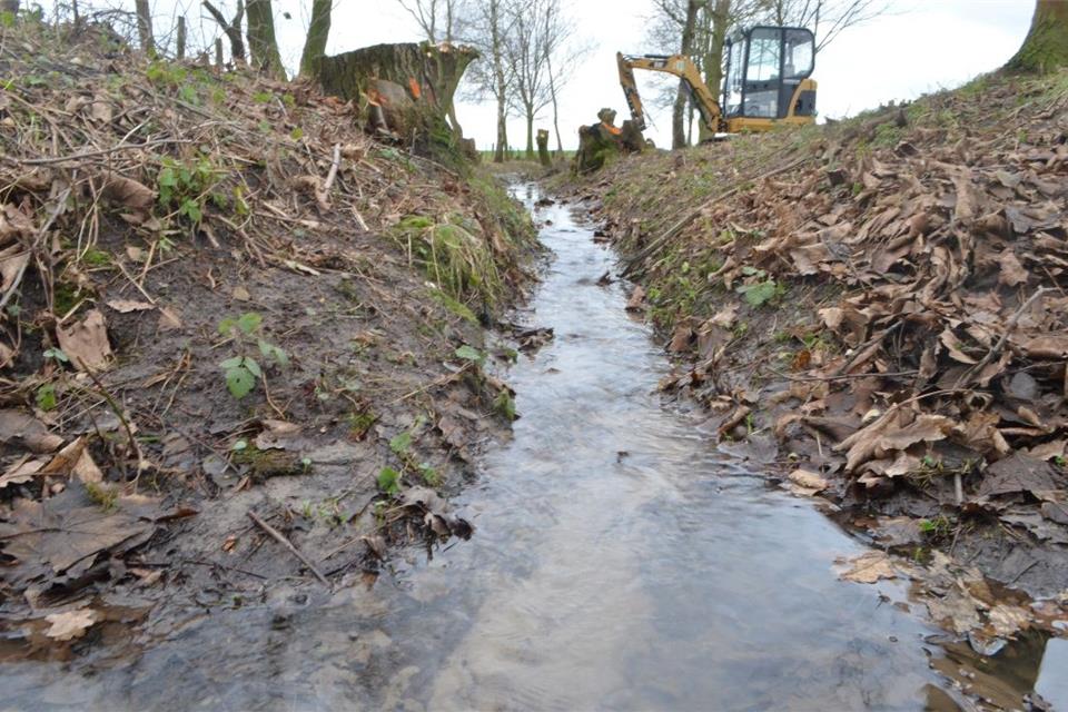 Die Wasser- und Bodenverbände, im Bild die Issel, kümmern sich um die Pflege der Gewässer.