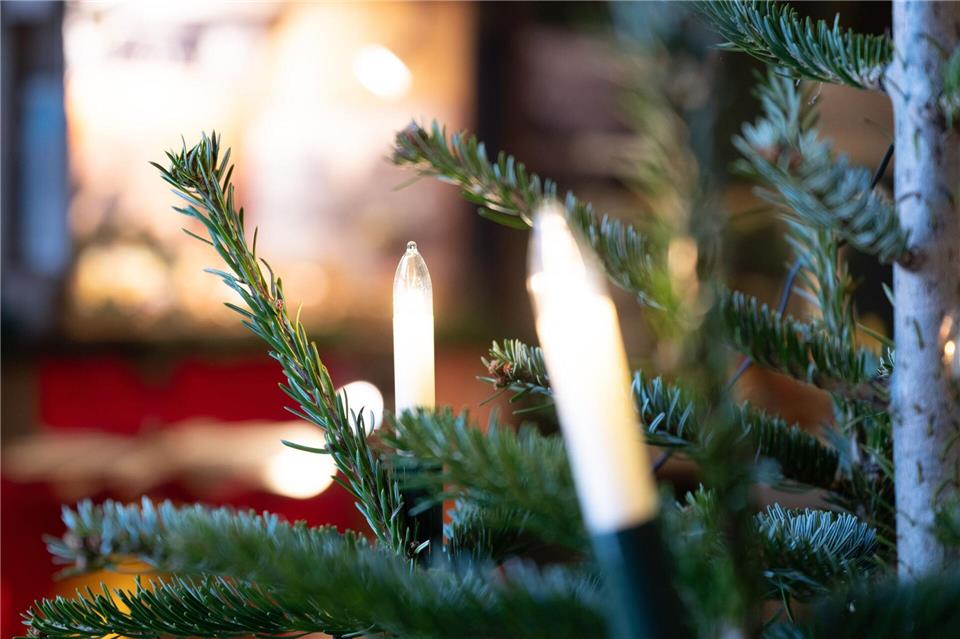 Die Weihnachtsbaum-Diebe werden von einem Sicherheitsmitarbeiter entdeckt. (Symbolbild)Sebastian Kahnert/dpa
