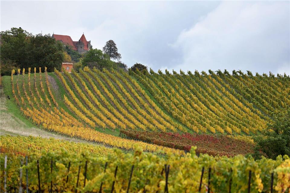 Die Weinberge rund um Würzburg gelten als eine der Attraktionen für Touristen in Franken (Archivbild). Karl-Josef Hildenbrand/dpa