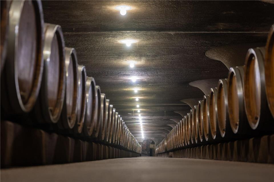 Die Weinbranche steckt in der Krise. (Symbolbild) Harald Tittel/dpa