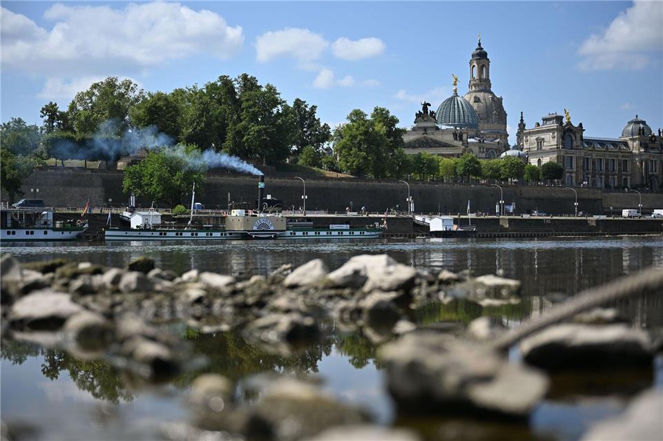 Die Weiße Flotte in Dresden ist aktuell nur mit einem Schiff unterwegs. (Archivbild)Katharina Kausche/dpa