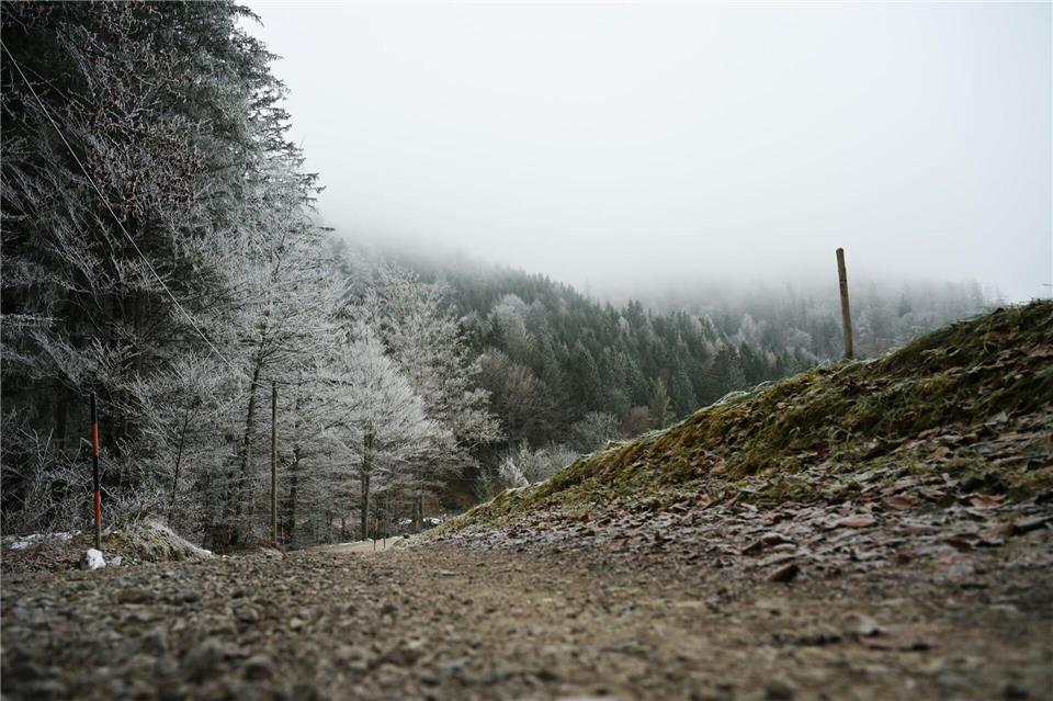 Die Wetteraussichten sind trist. (Symbolbild)Malin Wunderlich/dpa