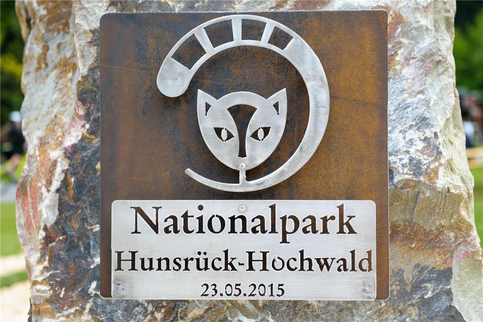 Die Wildkatze ist das Wappentier. (Archivbild)picture alliance / dpa