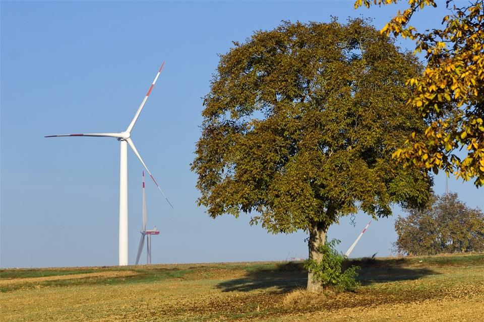 Windkraft: Politik sieht sich in Zwickmühle Die Windkraft und die Natur: Beide Aspekte lassen sich nur schwer verbinden.