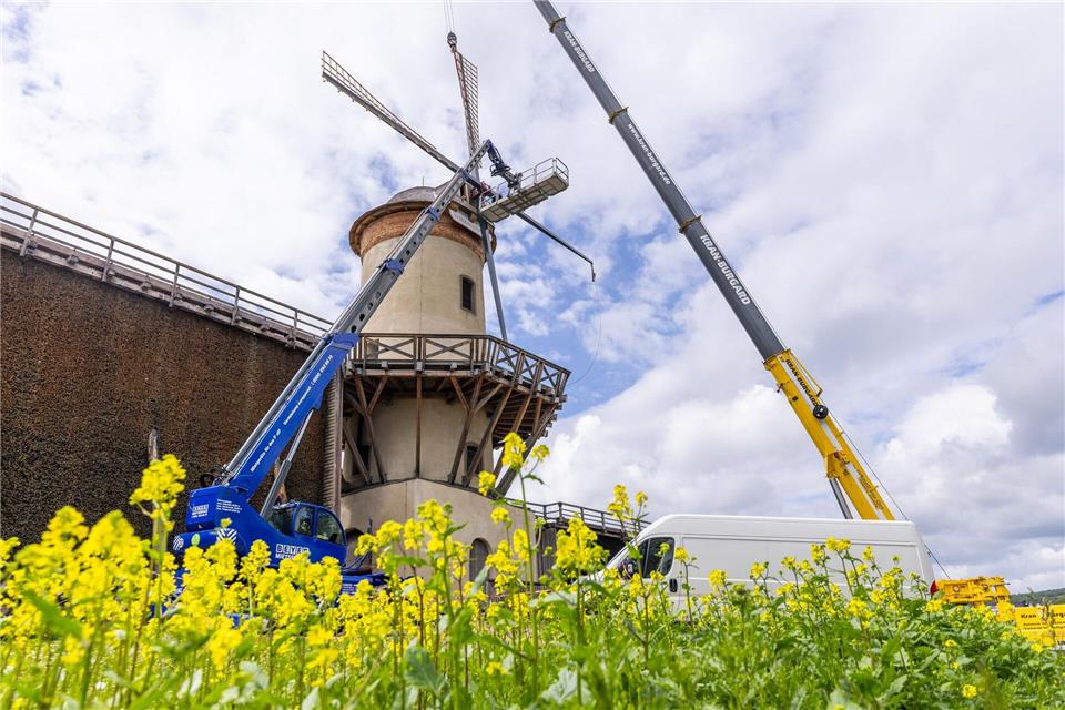 Die Windmühle in Bad Nauhei soll zum Mühlentag wieder laufen. Christian Lademann/dpa