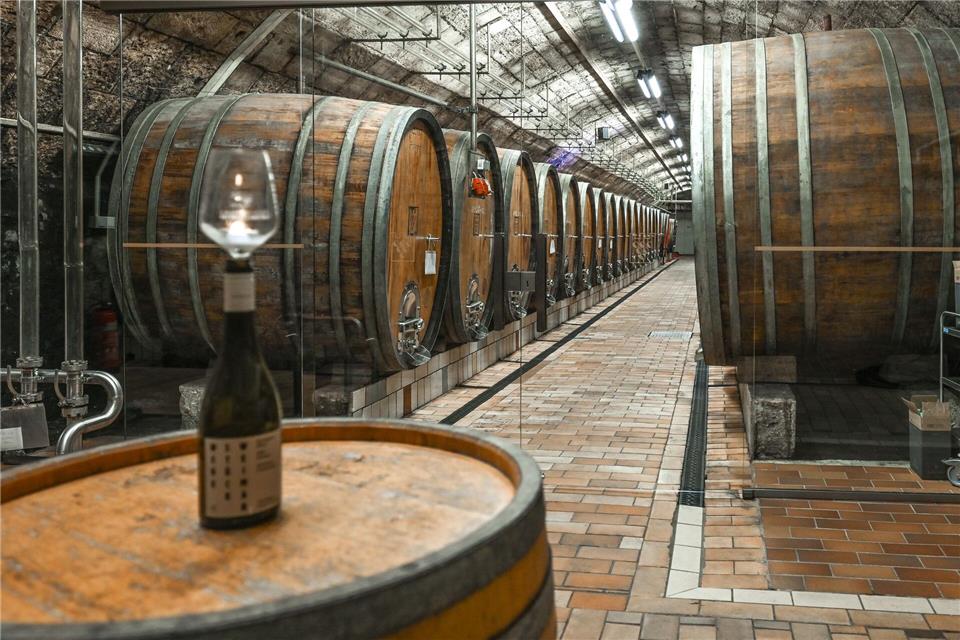 Die Winzer in Sachsen freuen sich über einen guten Jahrgang. (Symbolbild) Heiko Rebsch/dpa