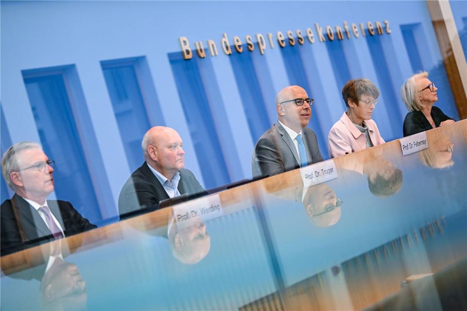 Die Wirtschaftsweisen haben keine guten Nachrichten.Britta Pedersen/dpa