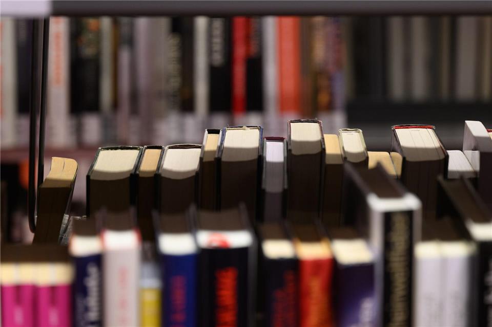Die Wittenberger Stadtbibliothek ist für ihr besonderes Angebot ausgezeichnet worden. (Symbolbild)Robert Michael/dpa