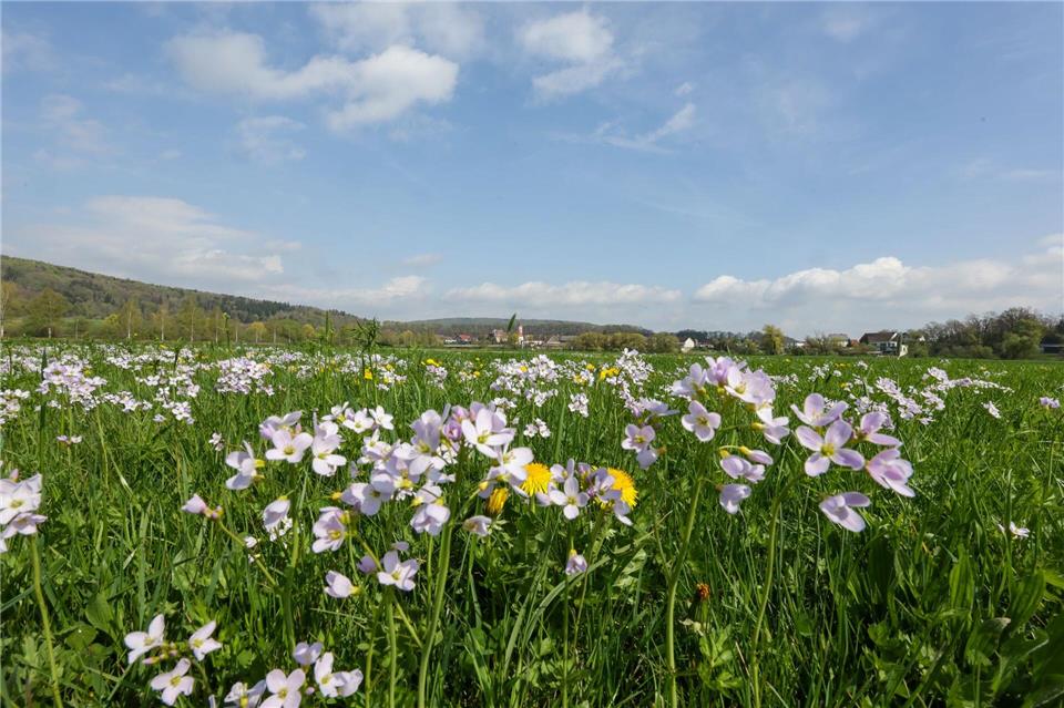 Die Woche in Baden-Württemberg beginnt mit einem Mix aus Sonne und Wolken. (Archivbild)Thomas Warnack/dpa