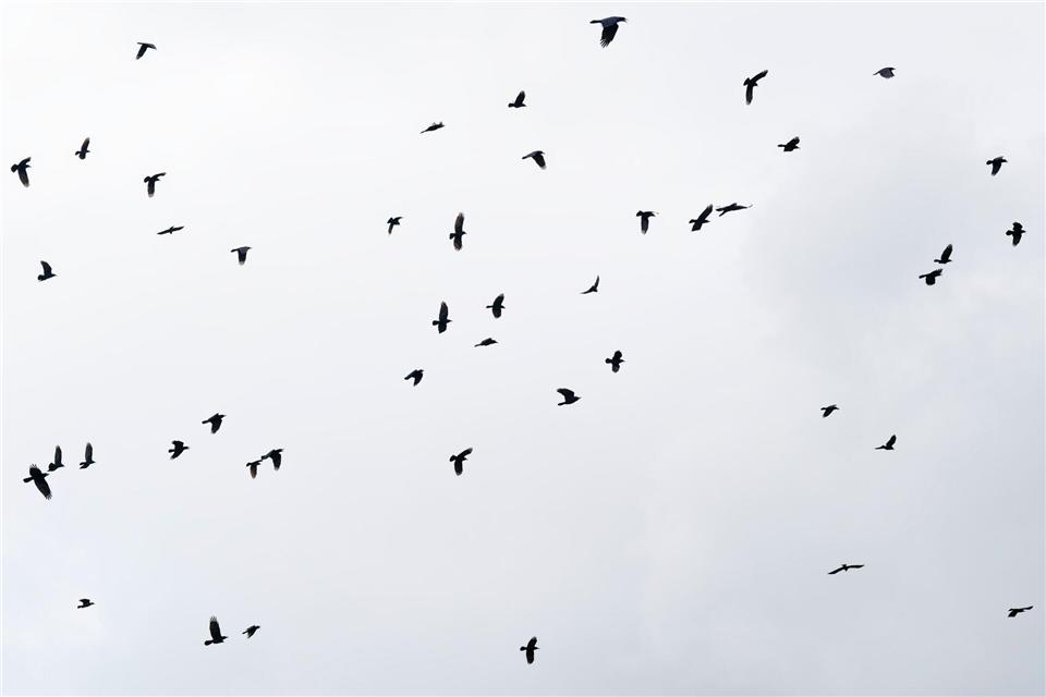 Die Woche startet mit Wolken in Hessen - zeitweise kann es Regen geben. (Symbolfoto)Uwe Anspach/dpa