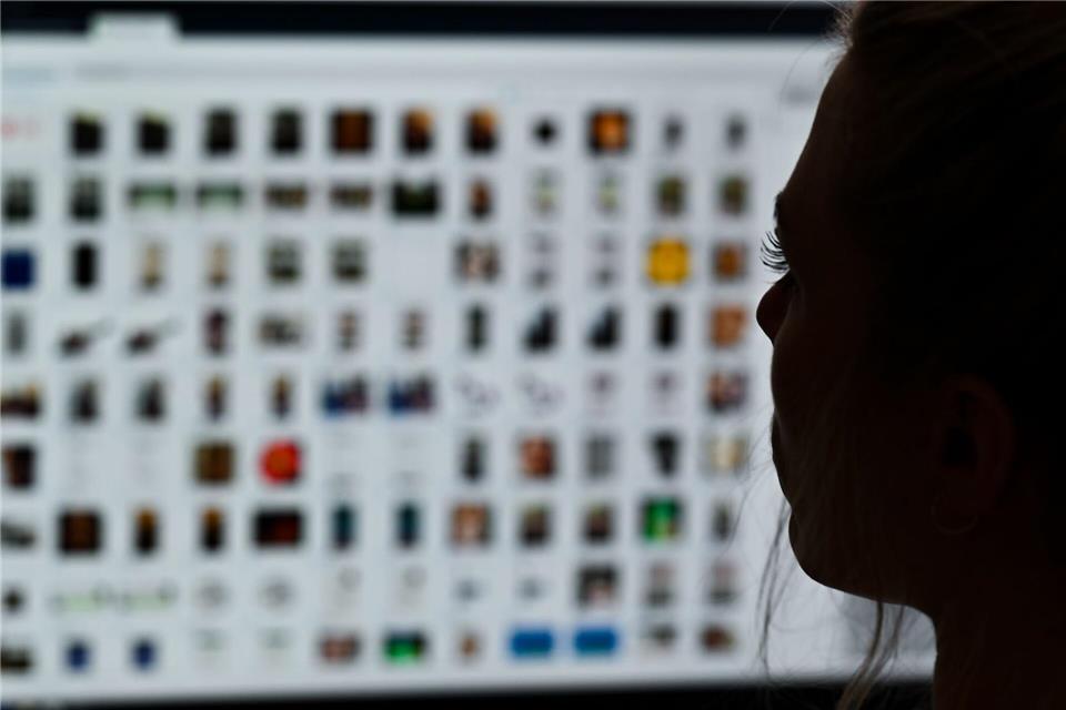 Die Zahl der Beschwerden über kriminelle Inhalte im Internet in Deutschland ist im vergangenen Jahr auf einen neuen Rekordwert gestiegen. (Archivbild)Arne Dedert/dpa