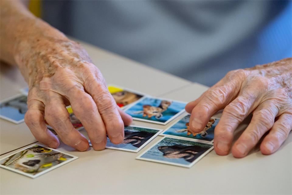 Die Zahl der Demenz-Patienten in Bayern steigt. Grund ist de demografische Wandel. (Symbolbild)Sven Hoppe/dpa