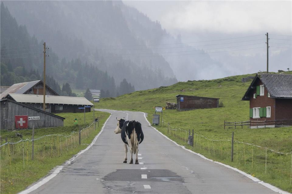 „Die Zahl der Deutschen mit Wohnsitz in der Schweiz steigt seit Jahren kontinuierlich“, berichtete die Statistikbehörde. Binnen zehn Jahren erhöhte sich die Zahl der Deutschen in der Schweiz um 10,7 Prozent. (Archivfoto)Urs Flueeler/KEYSTONE/dpa