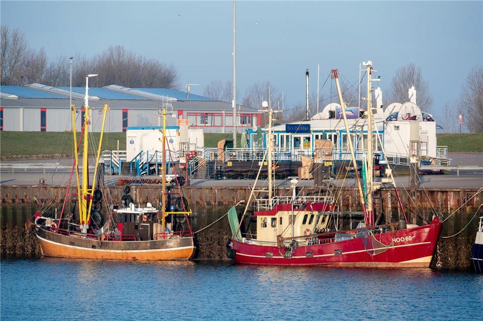 Die Zahl der Küstenfischereibetriebe lag 2024 bei rund 600. (Archivbild)Hauke-Christian Dittrich/dpa