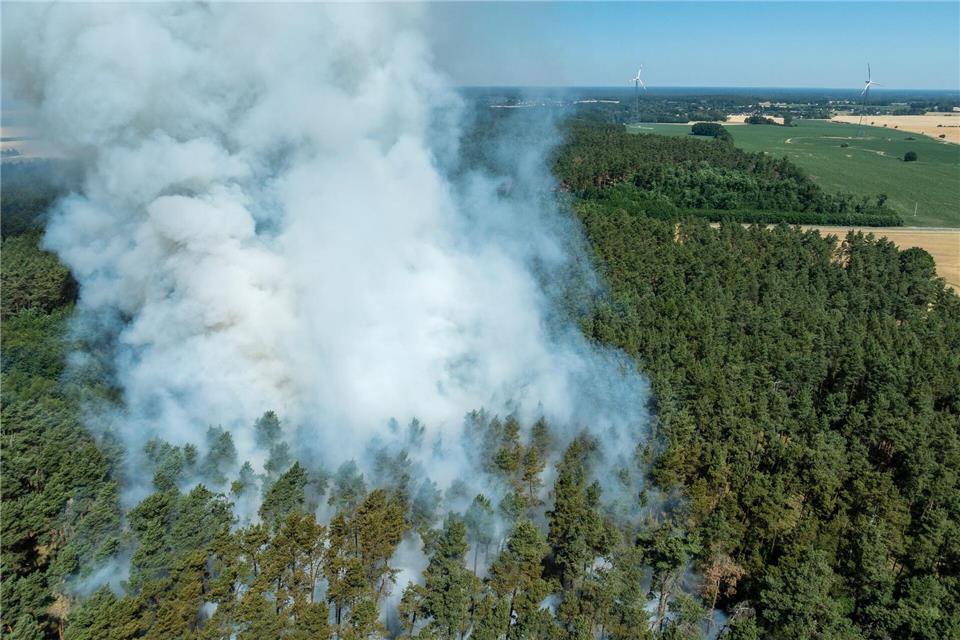 Die Zahl der Waldbrände in Brandenburg ist schon jetzt größer als 2024.Frank Hammerschmidt/dpa