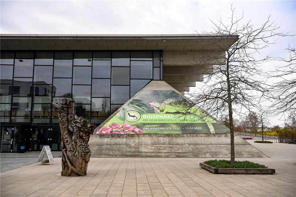 Die Zukunft ist ungewiss: Wie geht es weiter mit der Tropenhalle in Potsdam? (Archivbild)Jens Kalaene/dpa-Zentralbild/ZB