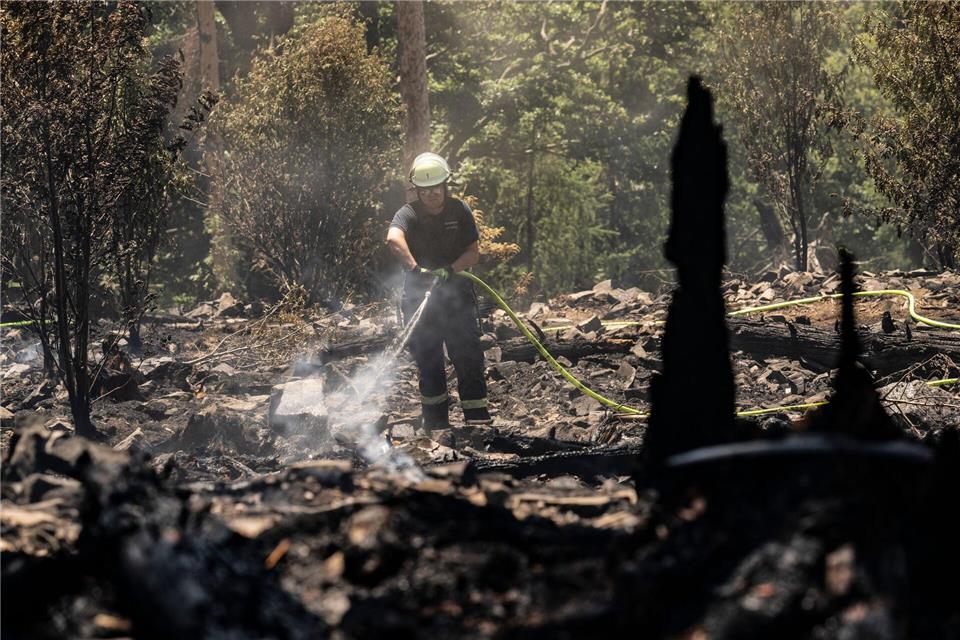 Die anhaltende Trockenheit in Hessen sorgt für steigende Waldbrandgefahr. (Archivbild)Boris Roessler/dpa