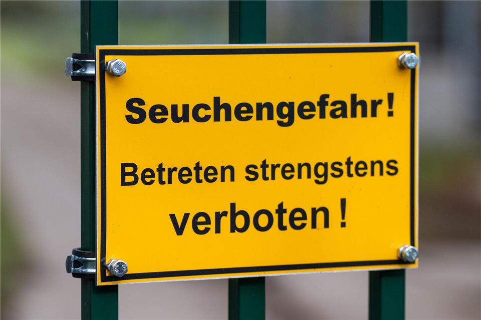 Die auch als Vogelgrippe bezeichnete Geflügelpest hat sich mittlerweile fast über ganz Deutschland ausgebreitet. (Archivbild)Christophe Gateau/dpa