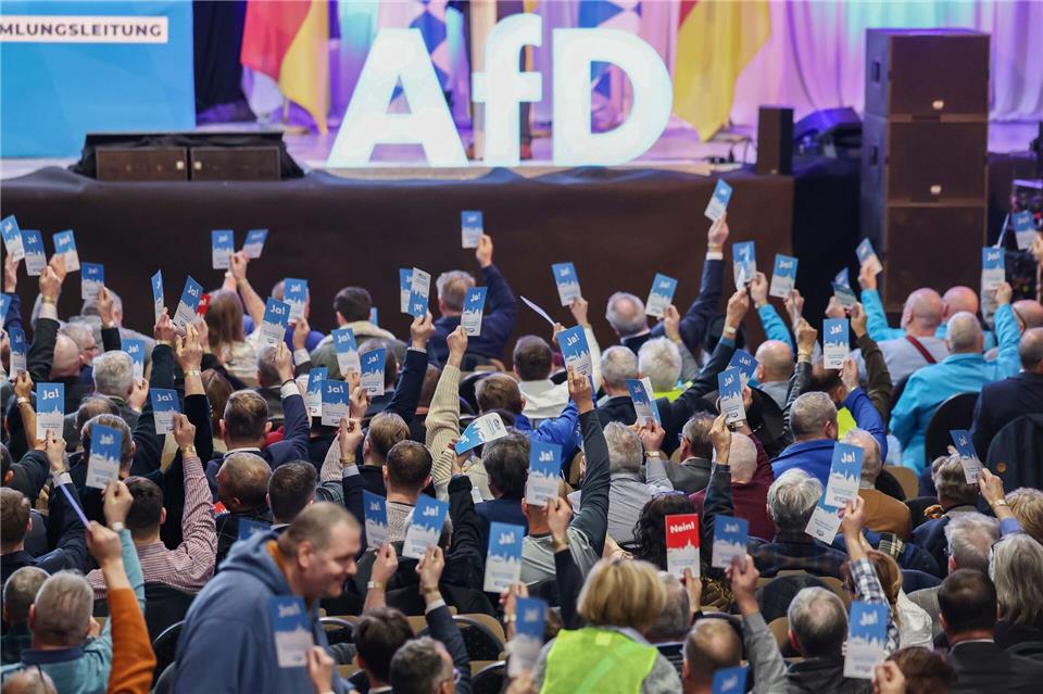 Die bayerische AfD trifft sich zum Parteitag - diesmal in Passau. (Archivbild)Daniel Löb/dpa