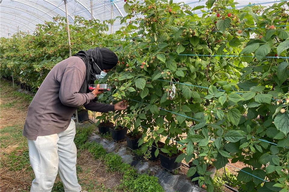 Die befreiten Migranten wurden laut Polizei oft geschlagen. -/Portugiesische Kriminalpolizei Polícia Judiciária PJ/dpa