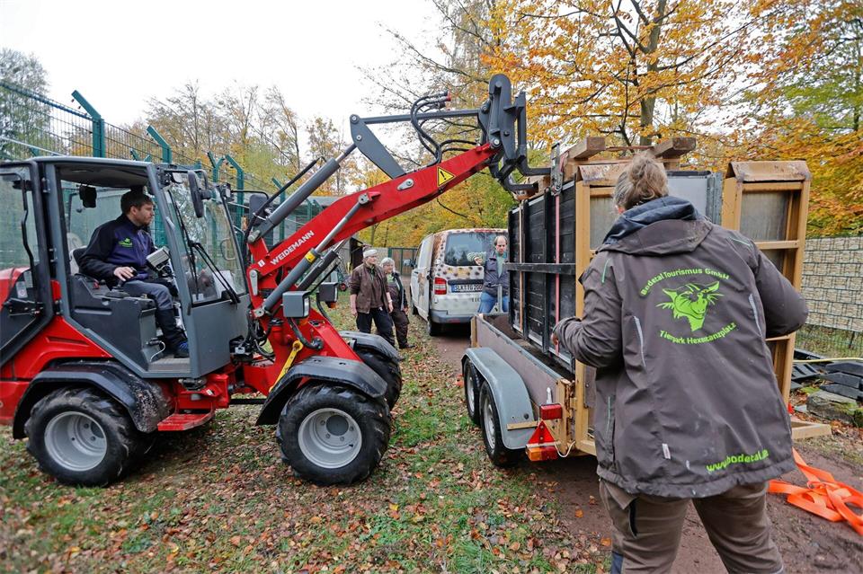 Die beiden Braunbären waren im Januar 2025 in dem Tierpark zur Welt gekommen.Matthias Bein/dpa