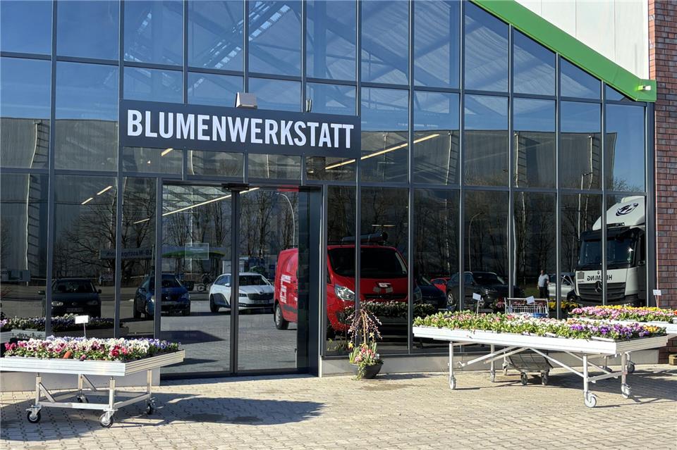 Die beiden Gewächshäuser nehmen nun deutlich mehr Platz mit ihrem Sortiment ein.