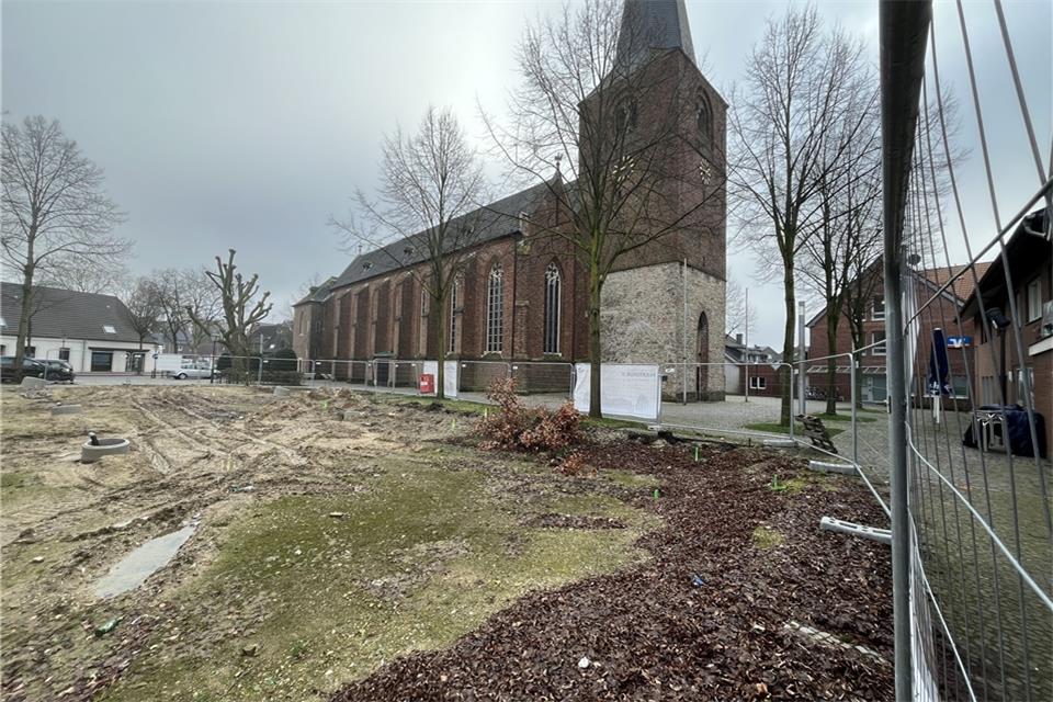 Die beiden Linden in der Bildmitte, die vor den beiden Bauschildern stehen, dürfen jetzt gefällt werden.