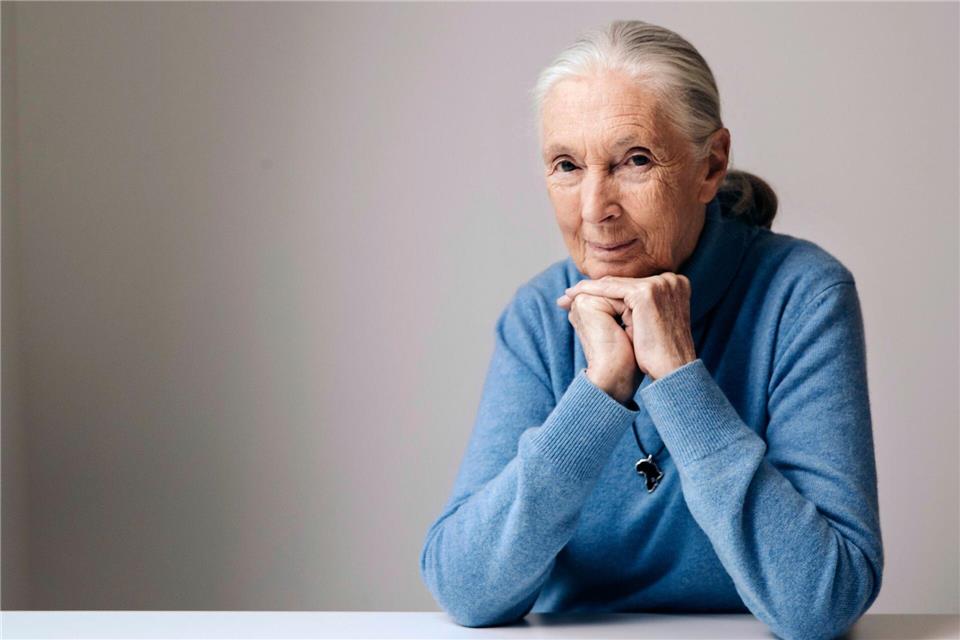 Die berühmte Schimpansenforscherin Jane Goodall ist im Alter von 91 Jahren gestorben. (Archivbild)Victoria Will/Invision/AP/dpa