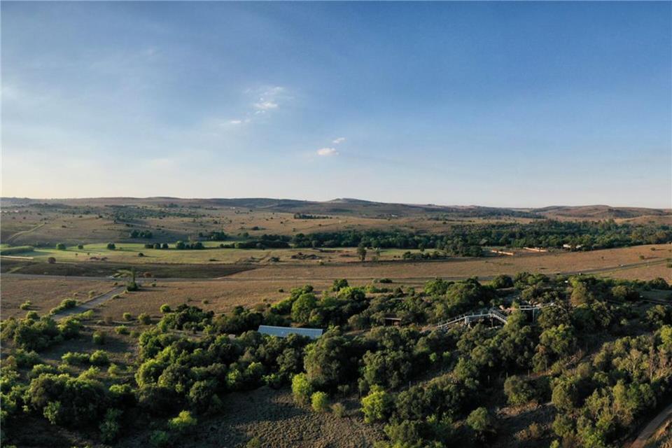 Die berühmten Sterkfontein Caves liegen in der hügeligen Landschaft der Provinz Gauteng. Brett Eloff/Wits University/dpa-tmn