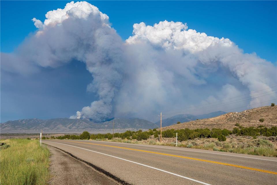 Die betroffene Hügelregion befindet sich in der Nähe der Stadt Salt Lake CityCharles Mcclintock Wilson/ZUMA Press Wire/dpa