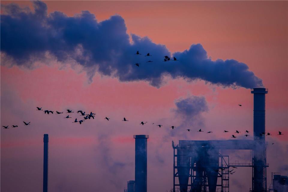 Die deutsche Industrie hat 2025 Umsatz eingebüßt (Archivbild)Jens Büttner/dpa